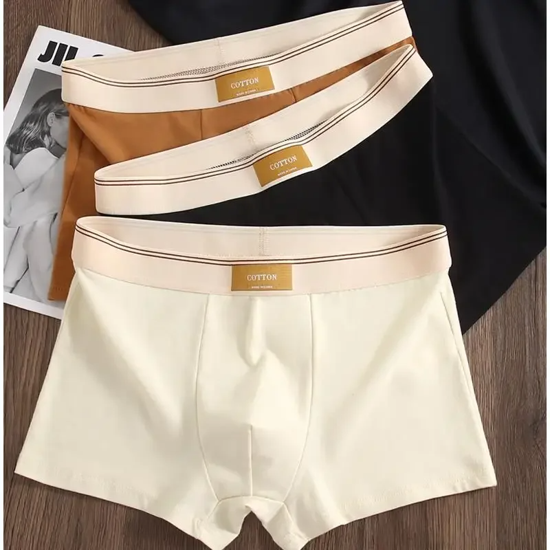 Cotton Theory Boxer